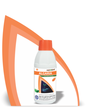 https://mizushi.in/new/wp-content/uploads/2021/11/ALGARIA-BOTTLE-1-300x375.png