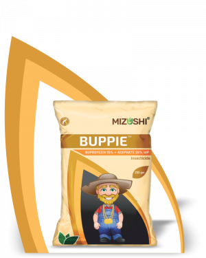 https://mizushi.in/new/wp-content/uploads/2021/11/BUPPIE-1-300x375.png