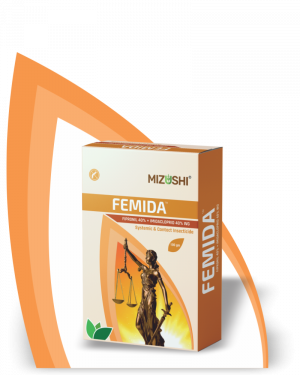 https://mizushi.in/new/wp-content/uploads/2021/11/FEMIDA-1-300x375.png