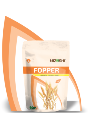https://mizushi.in/new/wp-content/uploads/2021/11/FOPPER-300x375.png