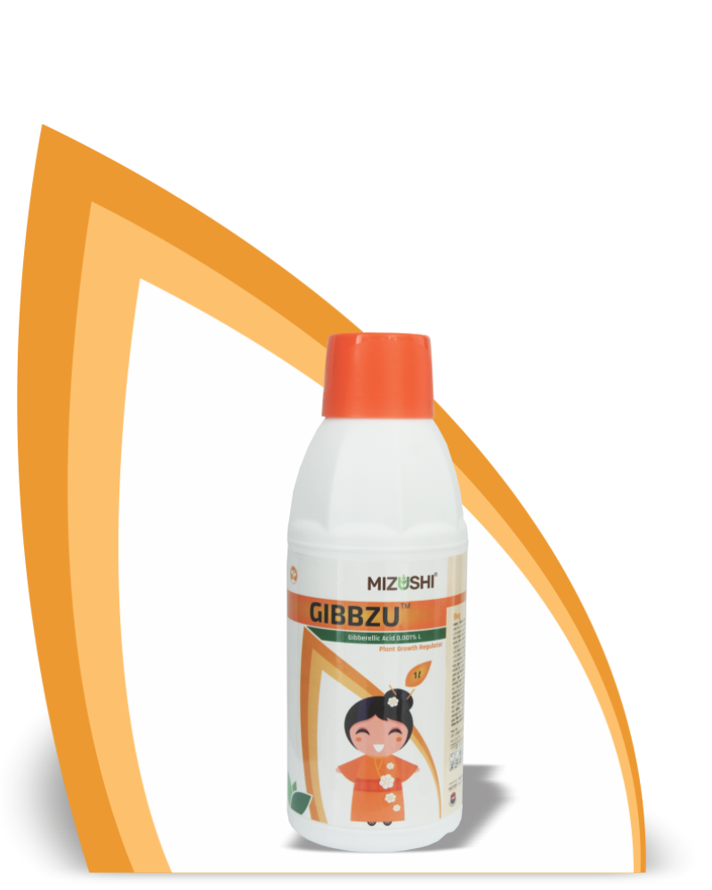 GIBBZU
