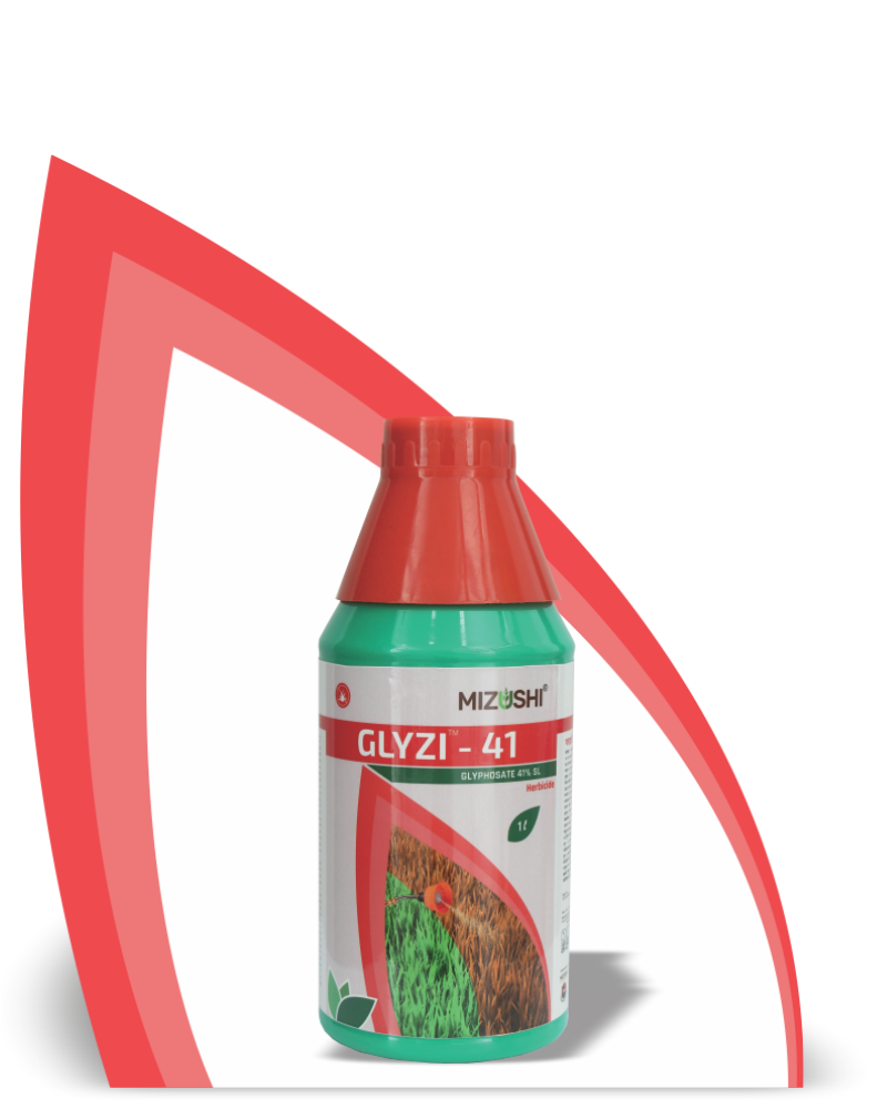 GLYZI 41