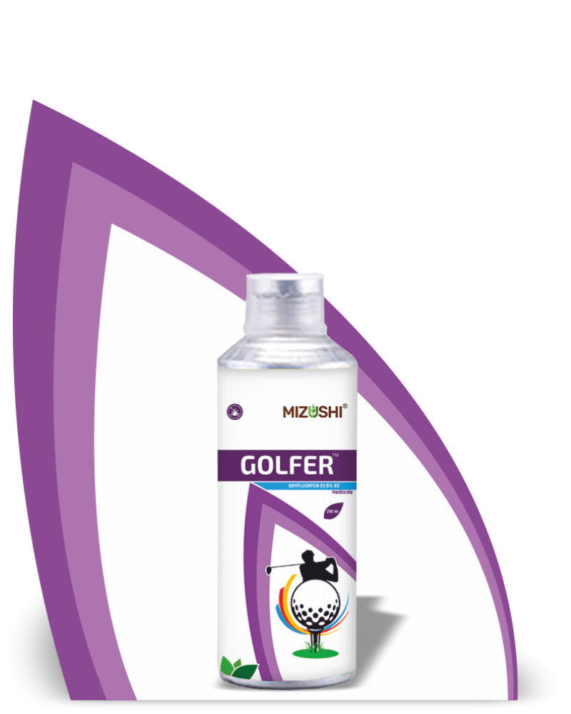 GOLFER