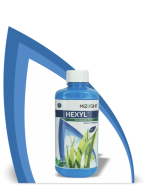 https://mizushi.in/new/wp-content/uploads/2021/11/HEXYL-3-300x375.png
