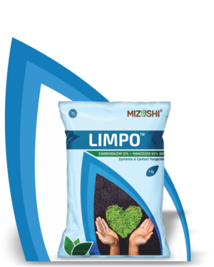 https://mizushi.in/new/wp-content/uploads/2021/11/LIMPO-3-300x375.png