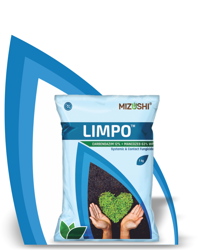 LIMPO