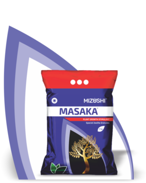https://mizushi.in/new/wp-content/uploads/2021/11/MASAKA-2-300x375.png
