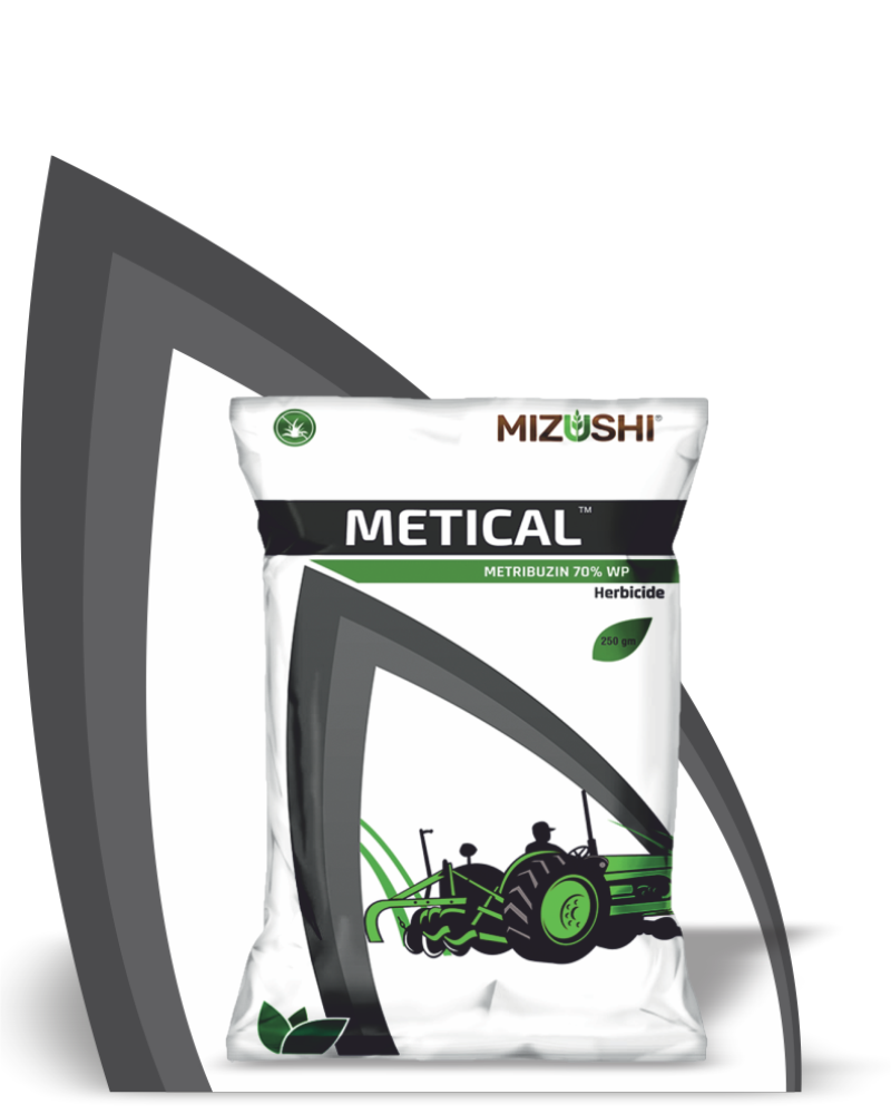 METICAL
