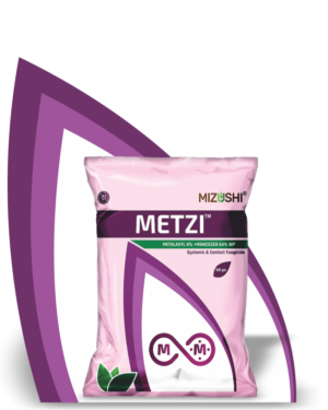 https://mizushi.in/new/wp-content/uploads/2021/11/METZI-3-300x375.png