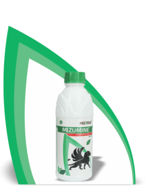 https://mizushi.in/new/wp-content/uploads/2021/11/MIZUMINE-1-300x375.png
