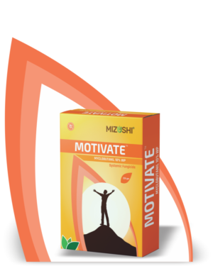 https://mizushi.in/new/wp-content/uploads/2021/11/MOTIVATE-2-300x375.png