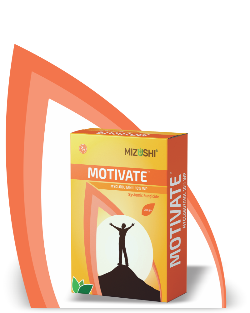 MOTIVATE