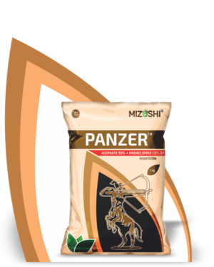 https://mizushi.in/new/wp-content/uploads/2021/11/PANZER-1-300x375.png