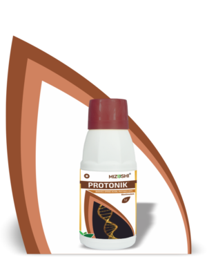 https://mizushi.in/new/wp-content/uploads/2021/11/PROTONIK-1-300x375.png