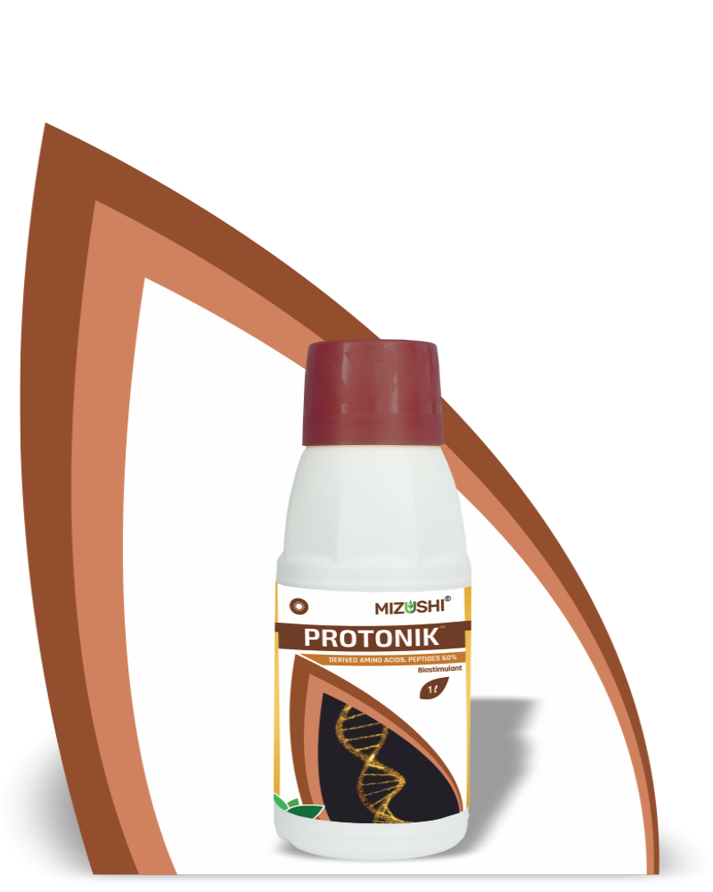 PROTONIK
