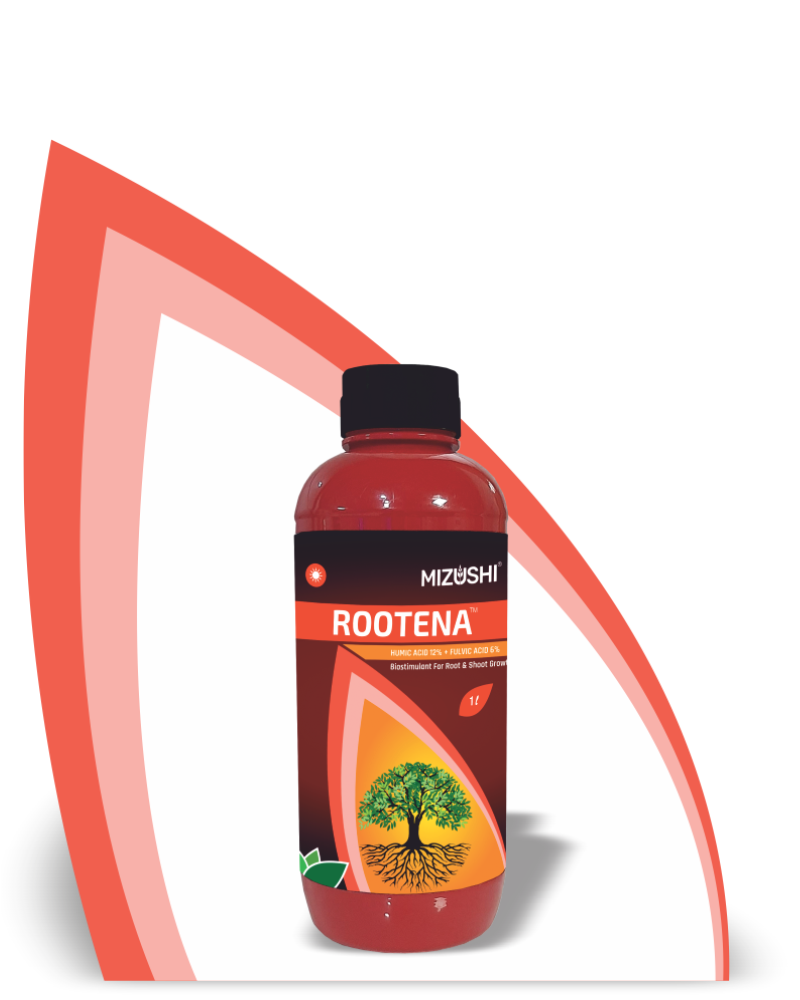 ROOTENA