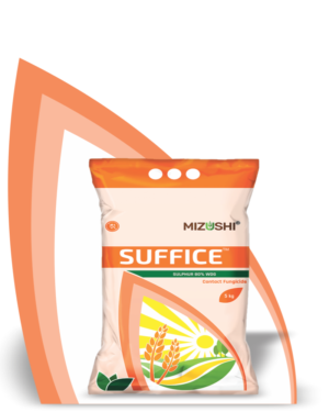 https://mizushi.in/new/wp-content/uploads/2021/11/SUFFICE-1-300x375.png