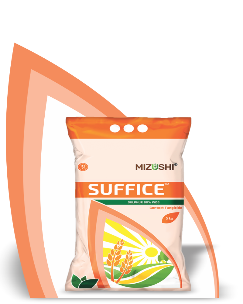 SUFFICE