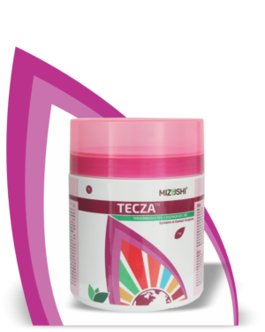 https://mizushi.in/new/wp-content/uploads/2021/11/TECZA-1-300x375.png
