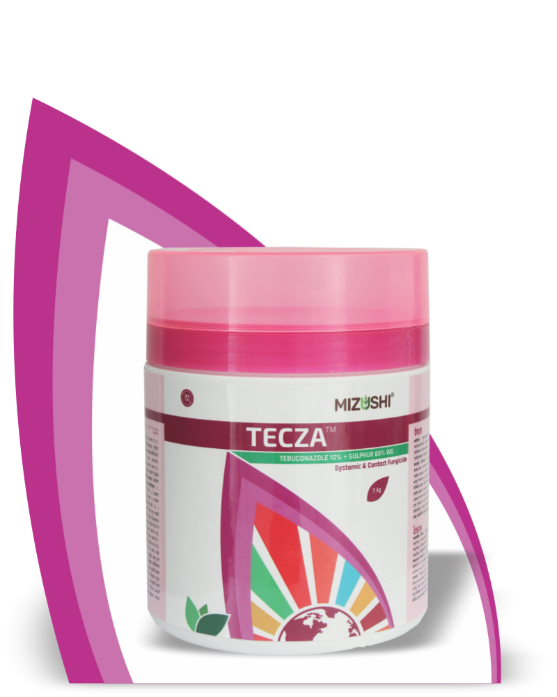 TECZA