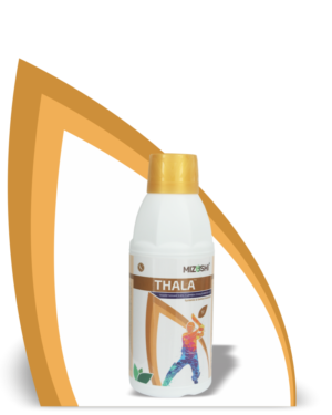 https://mizushi.in/new/wp-content/uploads/2021/11/THALA-1-300x375.png