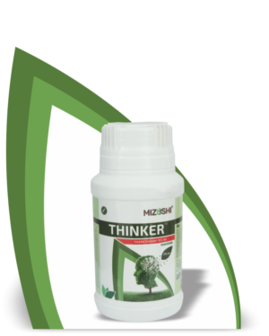 https://mizushi.in/new/wp-content/uploads/2021/11/THINKER-2-300x375.png