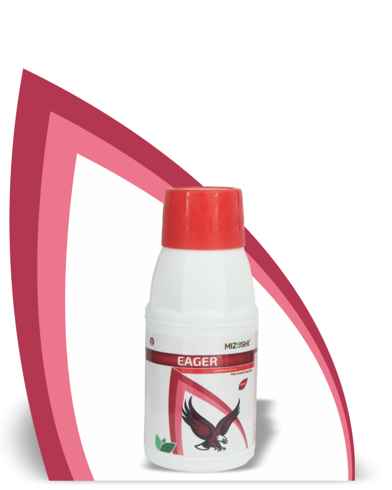 EAGER <span class="offer">ETHEPHON 39% SL</span>