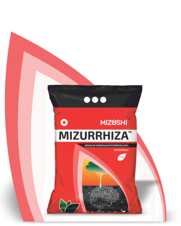 MIZURRHIZA <span class="offer">VESICULAR ARBUSCULAR MYCORRHIZA (VAM) - GRANULES</span>